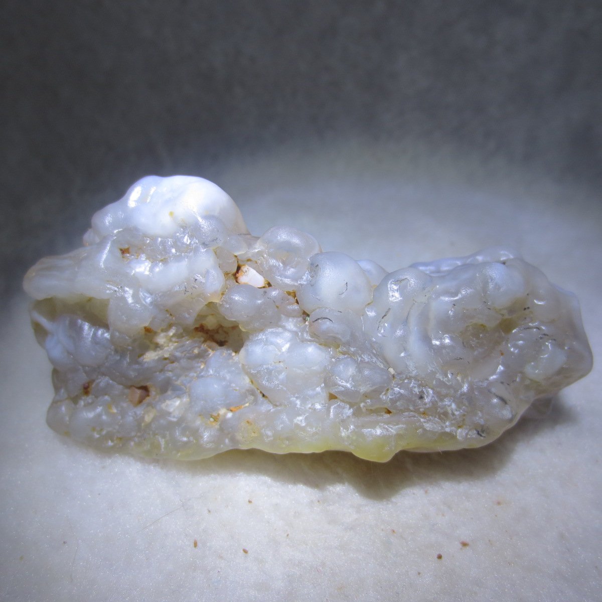 natural flower gobi agate raw desert rock mineral specimen (h36)