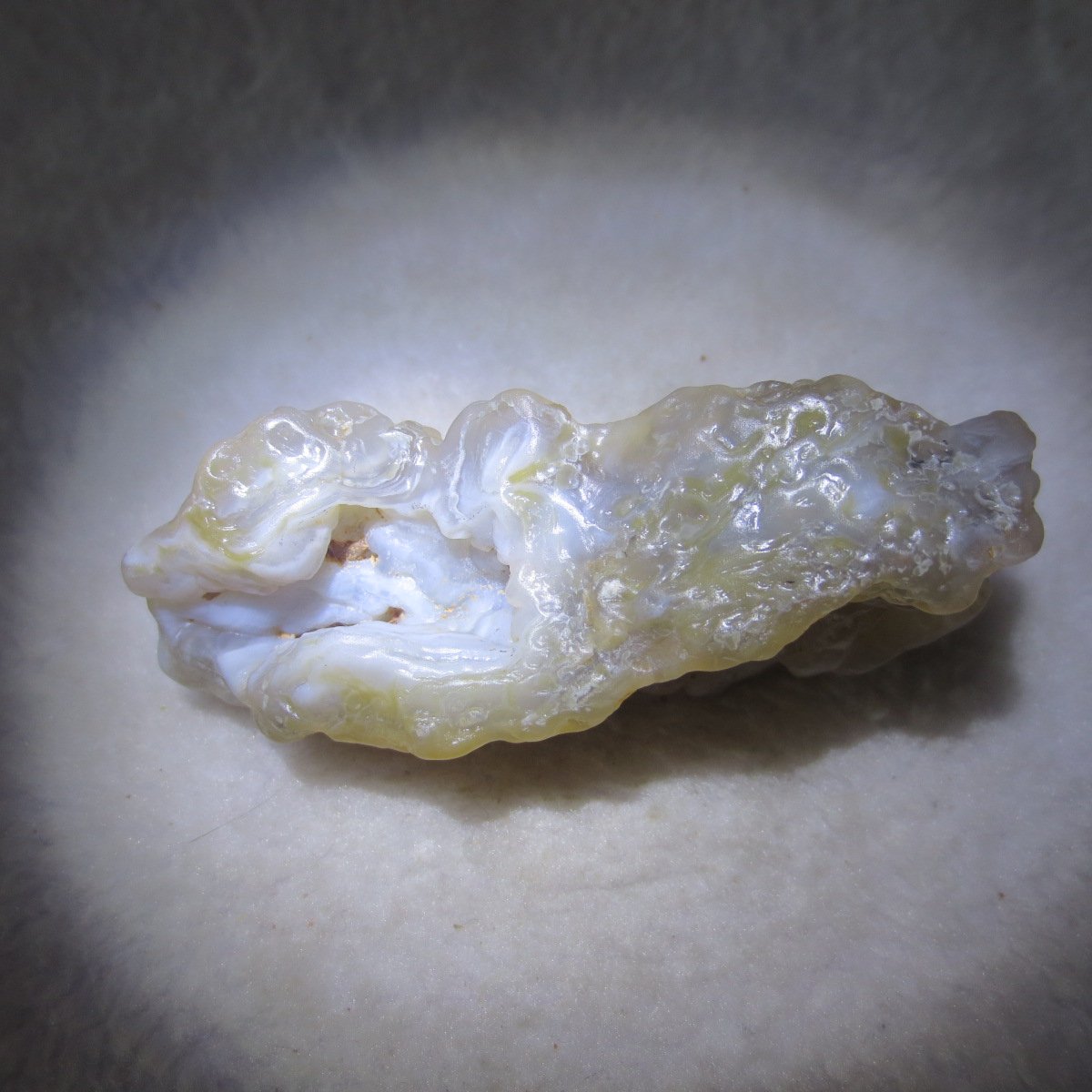 natural flower gobi agate raw desert rock mineral specimen (h36)