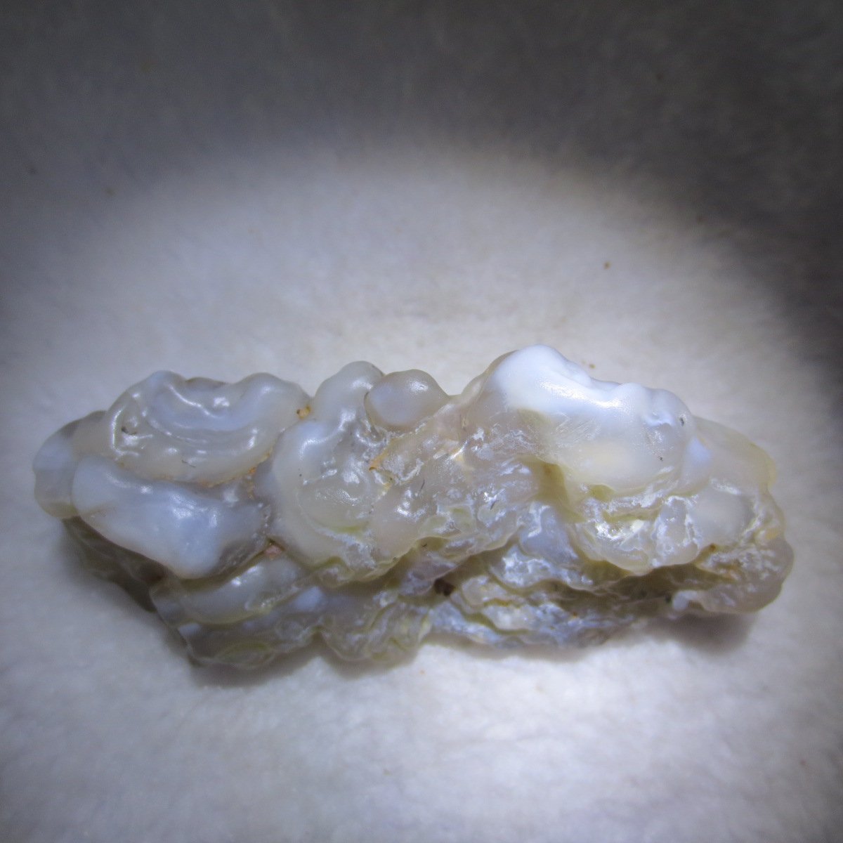 natural flower gobi agate raw desert rock mineral specimen (h36)