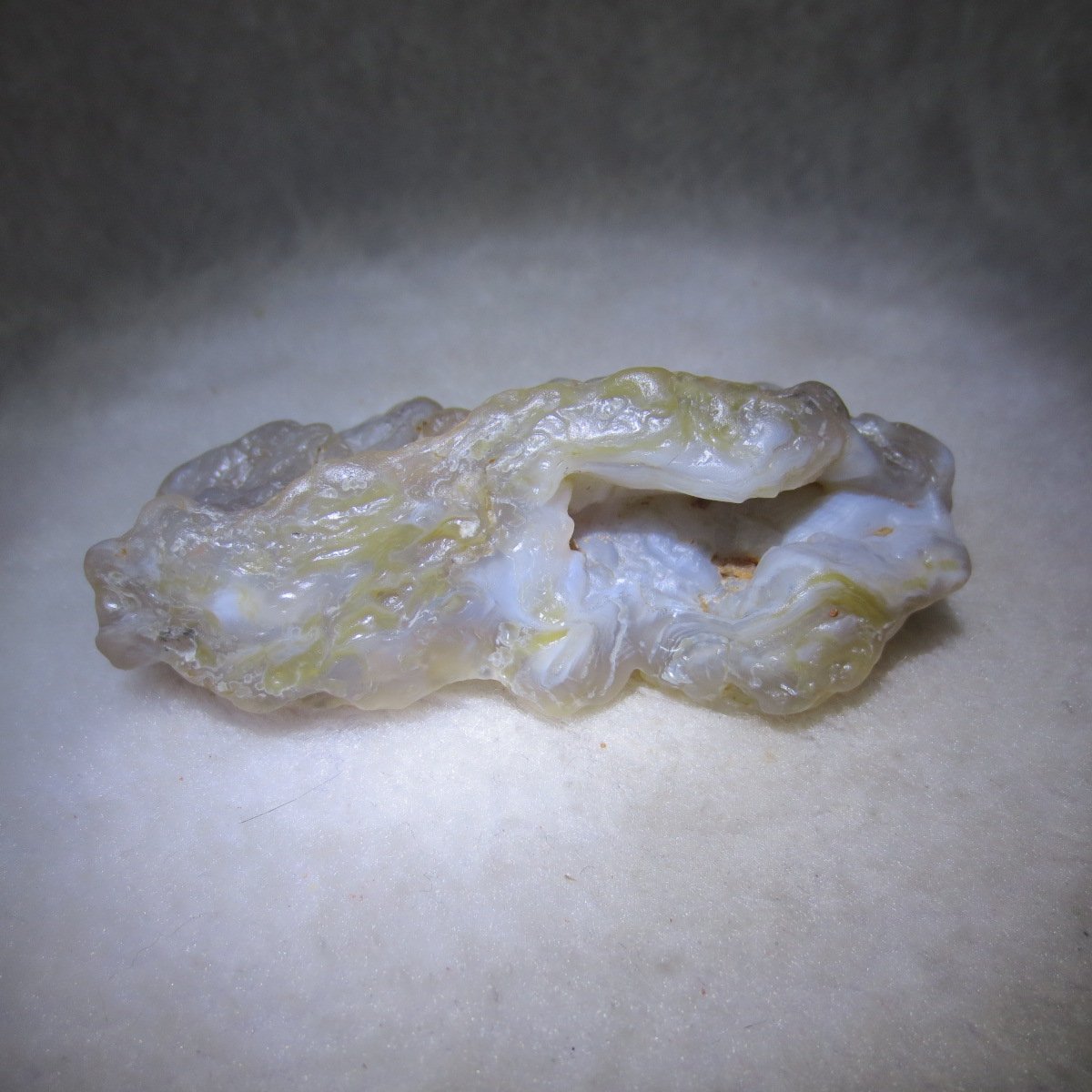 natural flower gobi agate raw desert rock mineral specimen (h36)