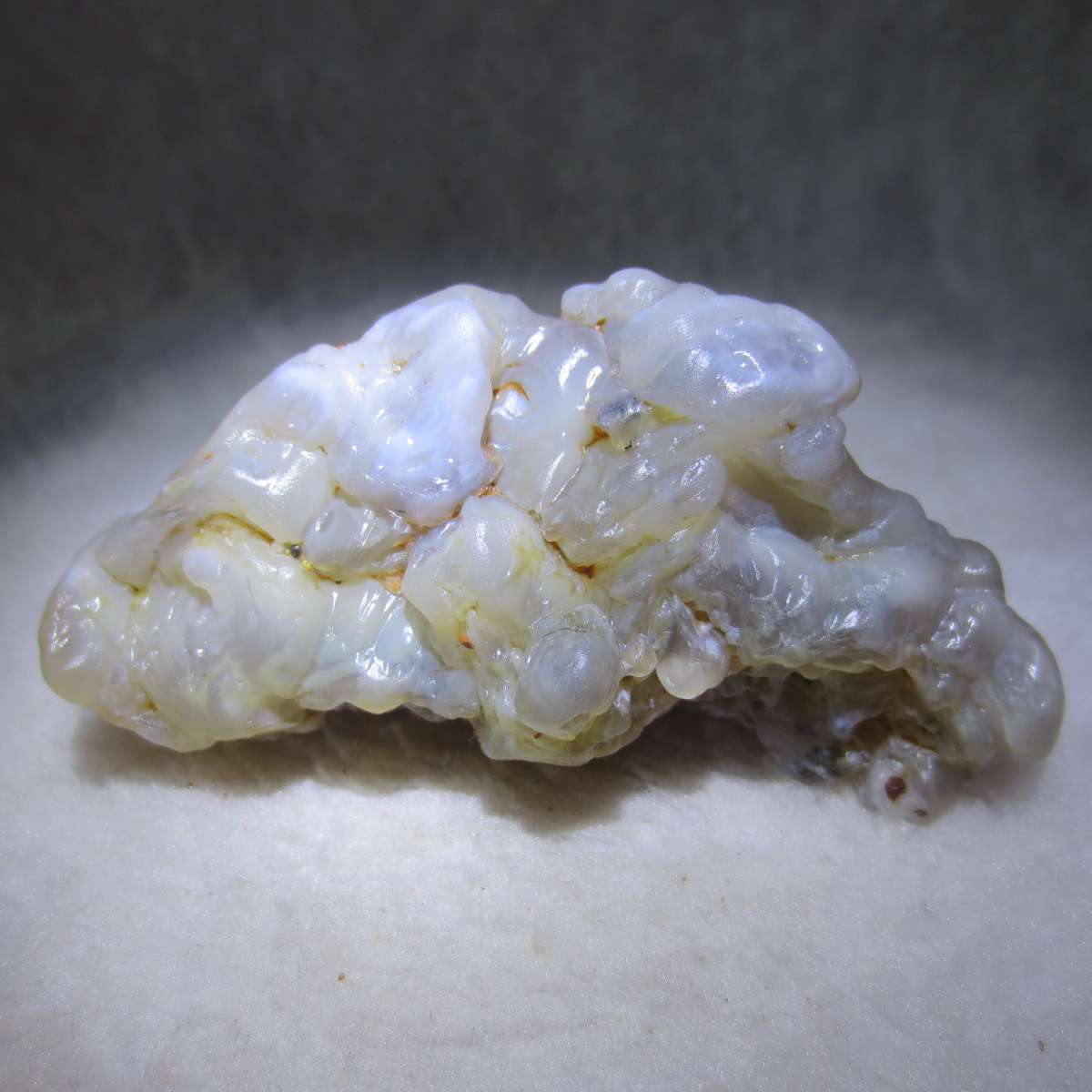 natural flower gobi agate raw desert rock mineral specimen (h37)