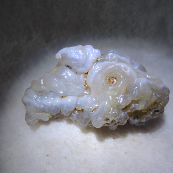 natural flower gobi agate raw desert rock mineral specimen (h37)