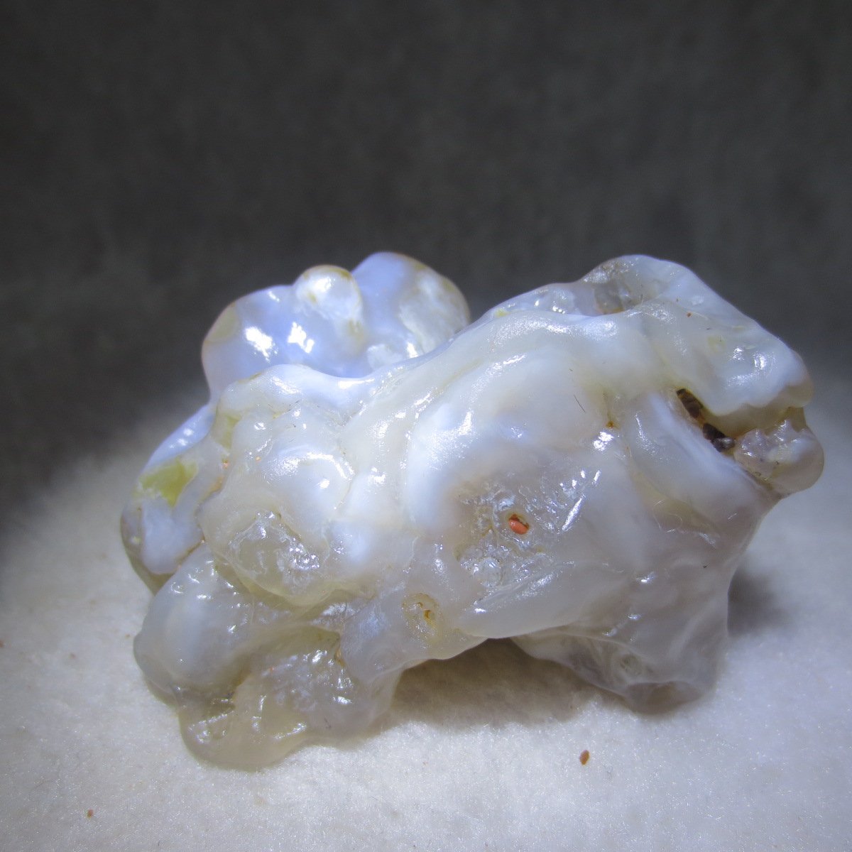natural flower gobi agate raw desert rock mineral specimen (h38)