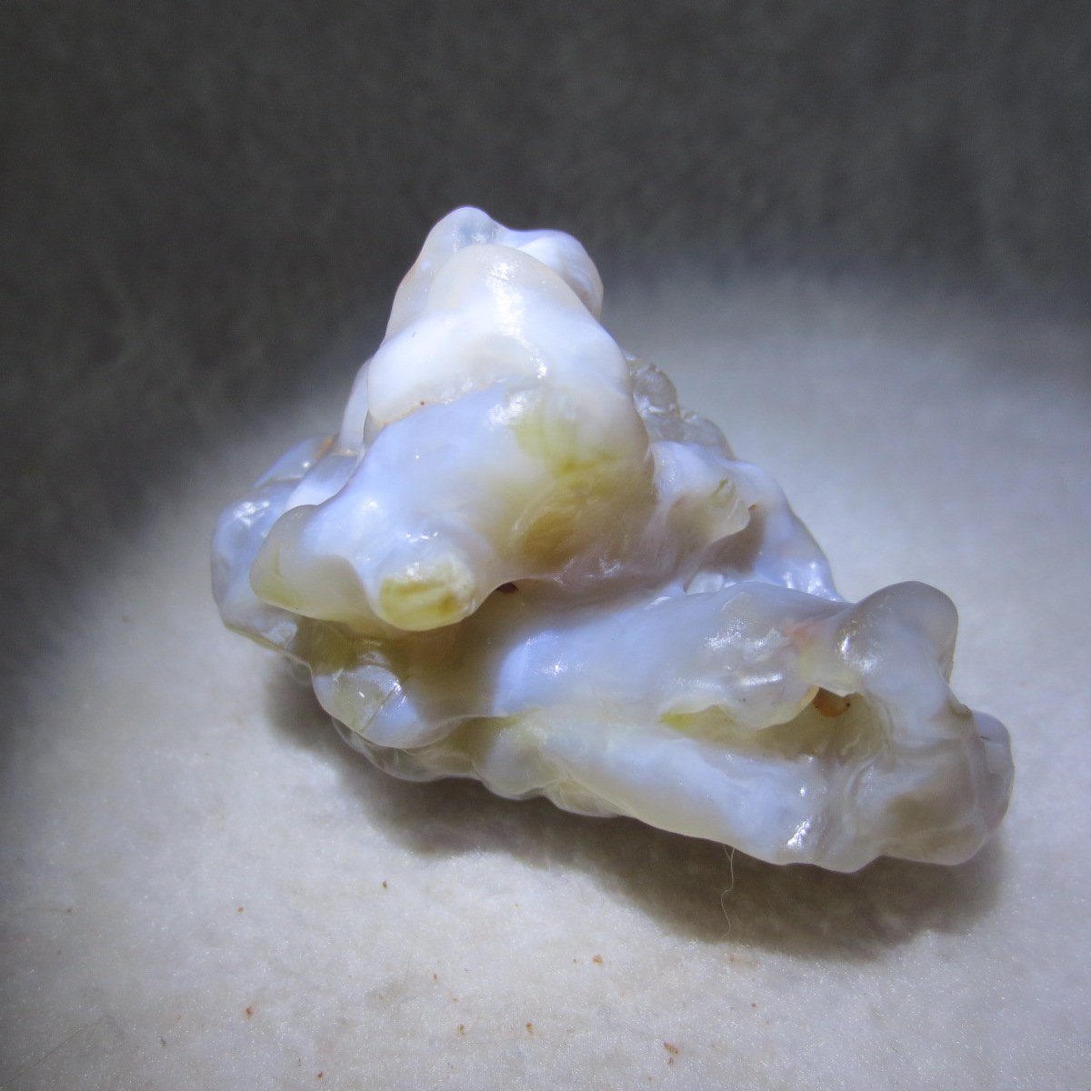 natural flower gobi agate raw desert rock mineral specimen (h38)
