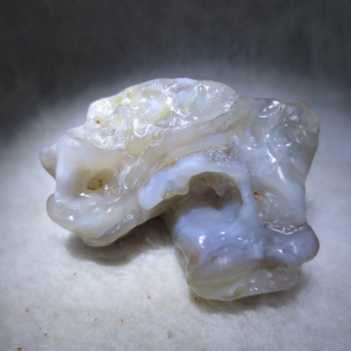 natural flower gobi agate raw desert rock mineral specimen (h38)