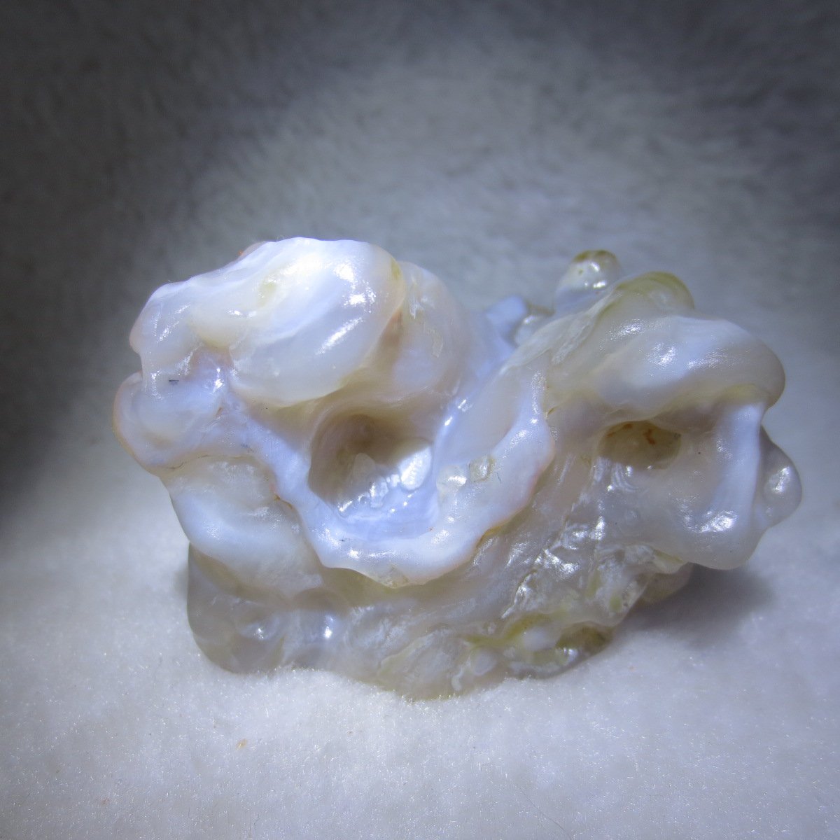 natural flower gobi agate raw desert rock mineral specimen (h38)