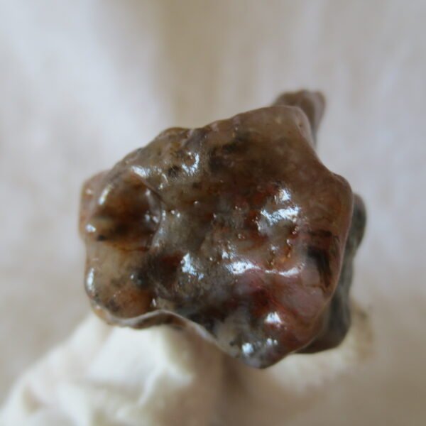 multi color gobi flower agate raw stone natural botryoidal desert agate specimen (k95) (copy)