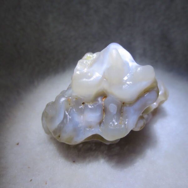 natural flower gobi agate raw desert rock mineral specimen (h38)