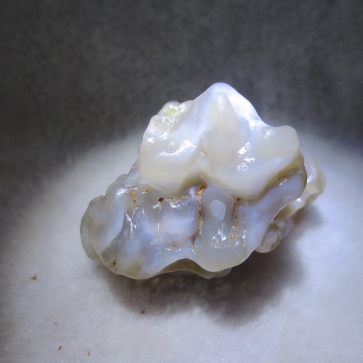 natural flower gobi agate raw desert rock mineral specimen (h38)