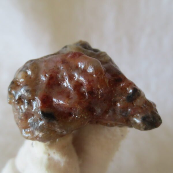 multi color gobi flower agate raw stone natural botryoidal desert agate specimen (k95) (copy)