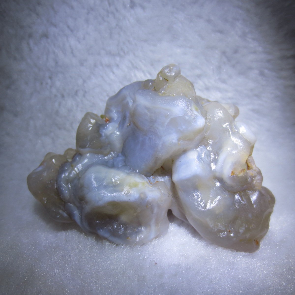 natural flower gobi agate raw desert rock mineral specimen (h39)