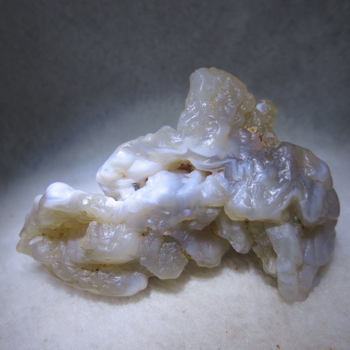 natural flower gobi agate raw desert rock mineral specimen (h41)
