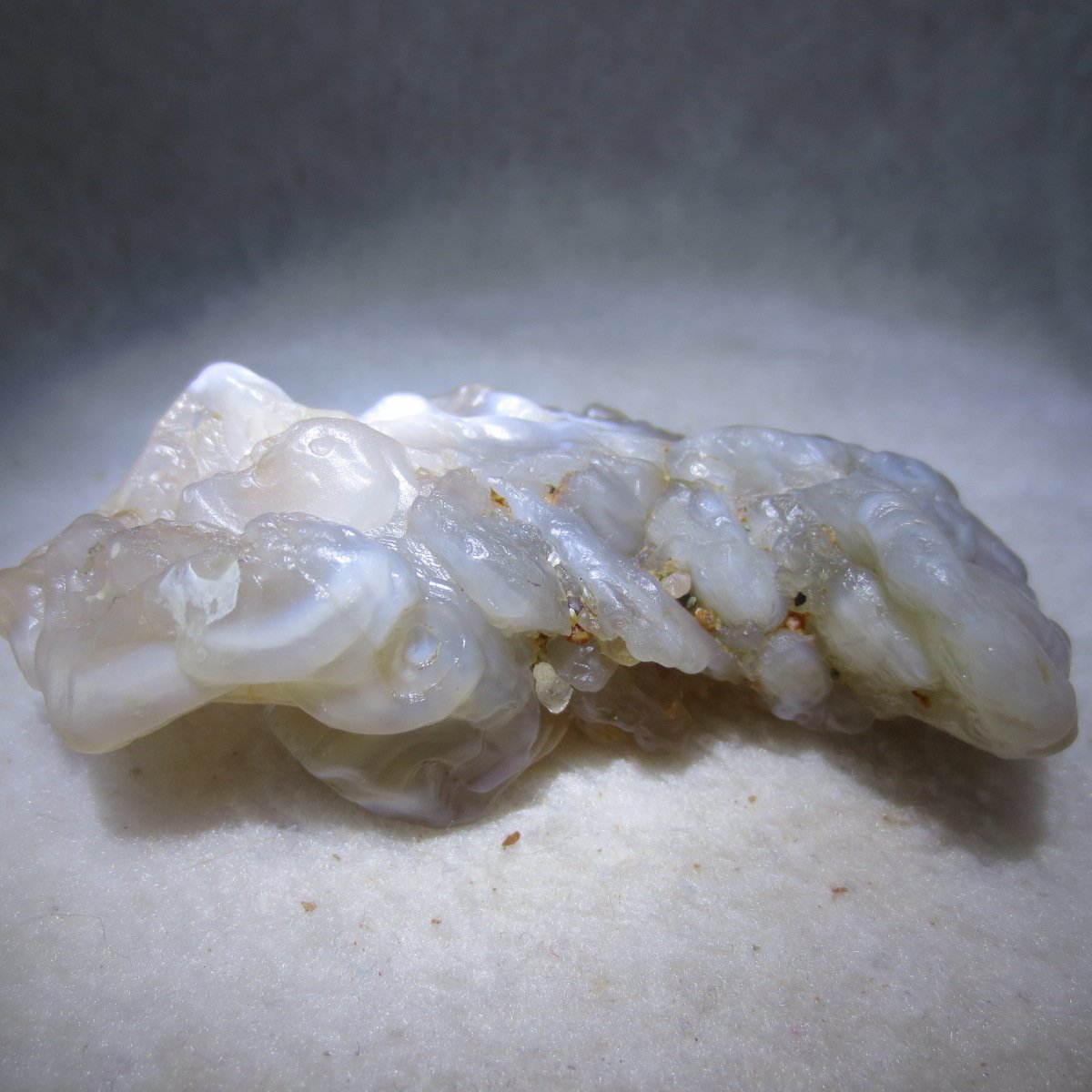natural flower gobi agate raw desert rock mineral specimen (h41)