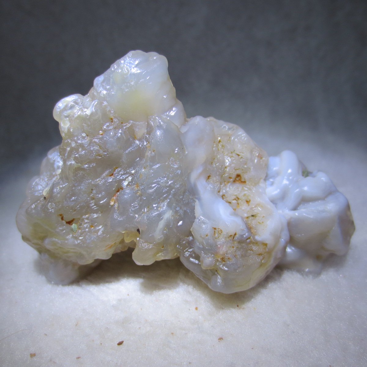 natural flower gobi agate raw desert rock mineral specimen (h41)