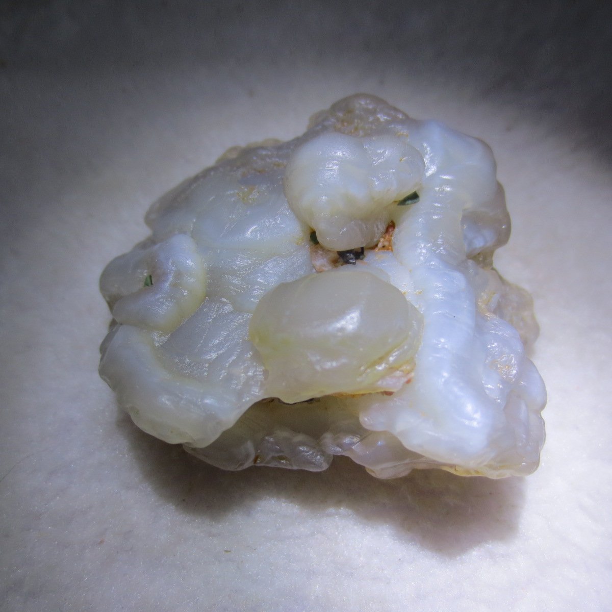 natural flower gobi agate raw desert rock mineral specimen (h42)