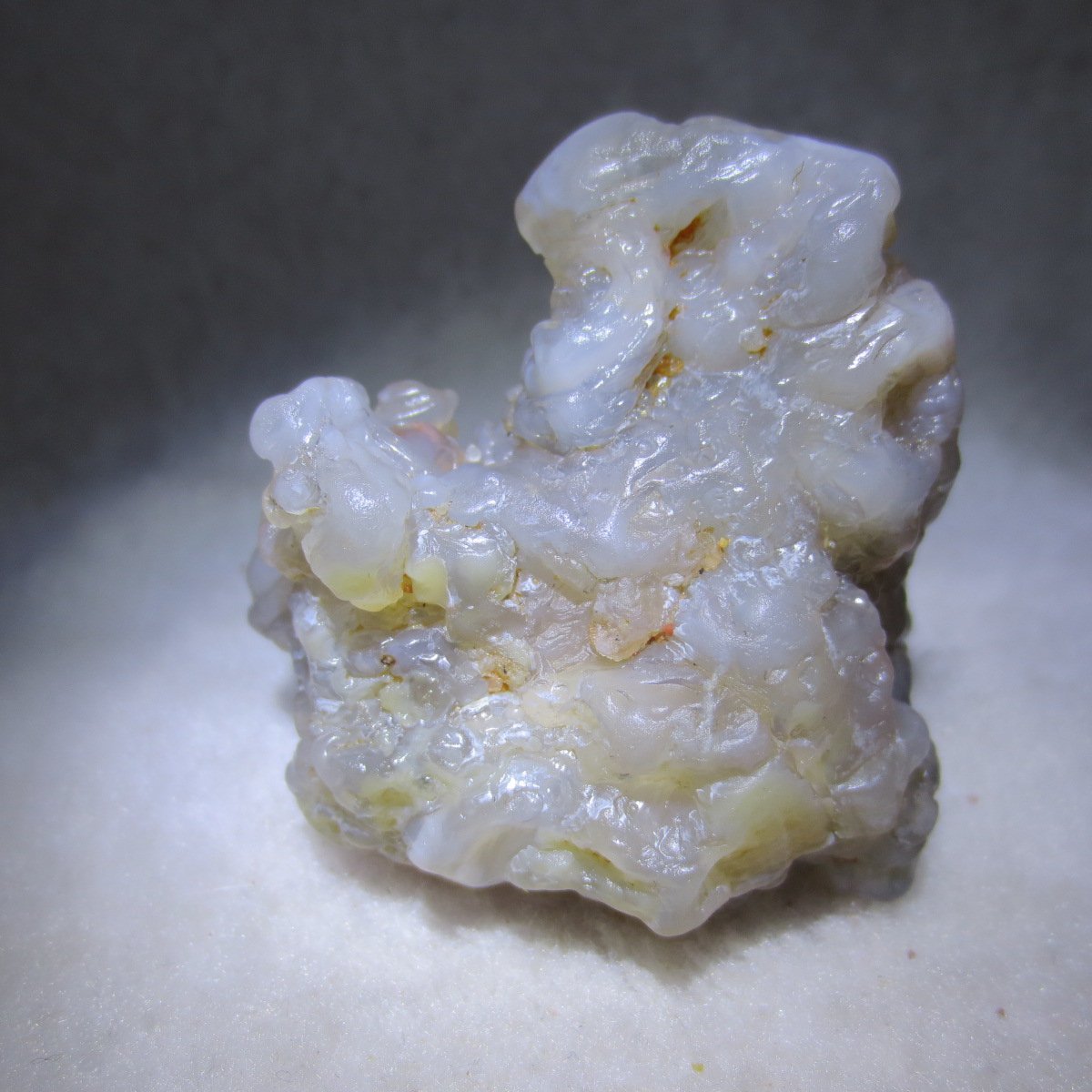natural flower gobi agate raw desert rock mineral specimen (h44)