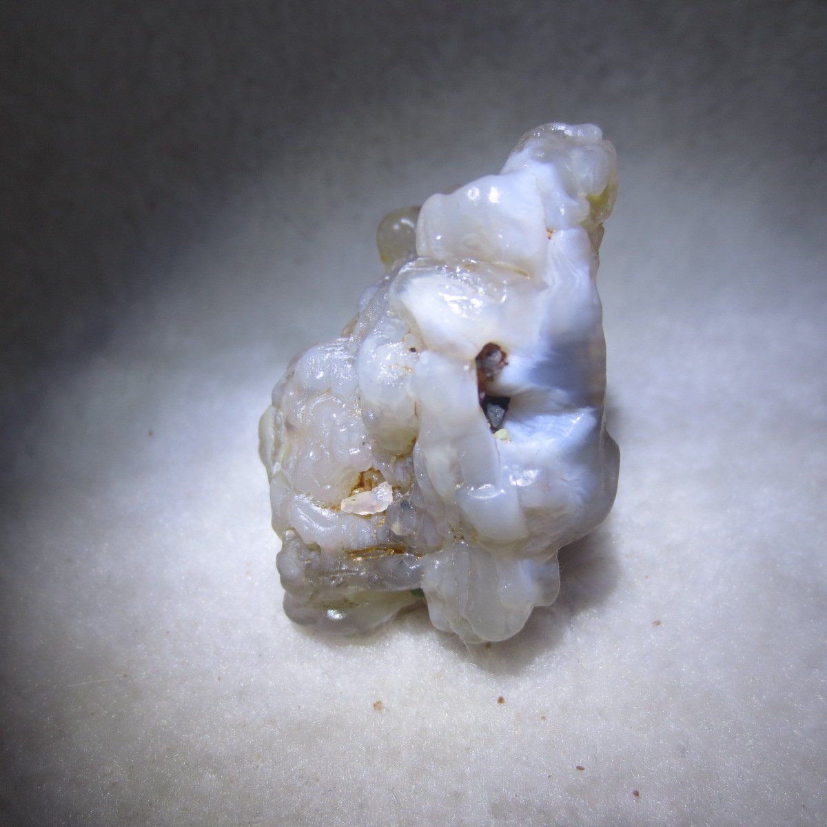 natural flower gobi agate raw desert rock mineral specimen (h44)