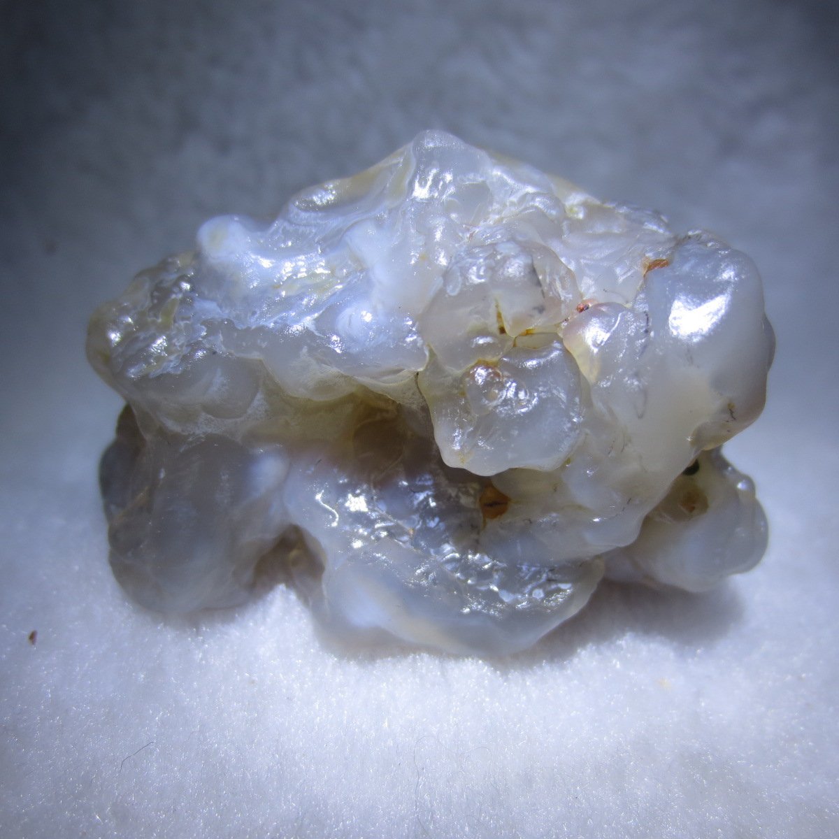 natural flower gobi agate raw desert rock mineral specimen (h44)
