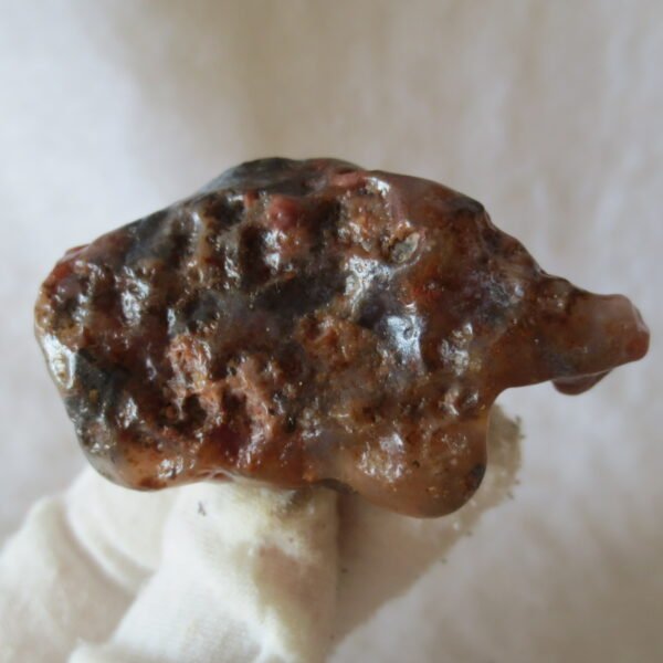 multi color gobi flower agate raw stone natural botryoidal desert agate specimen (k100)
