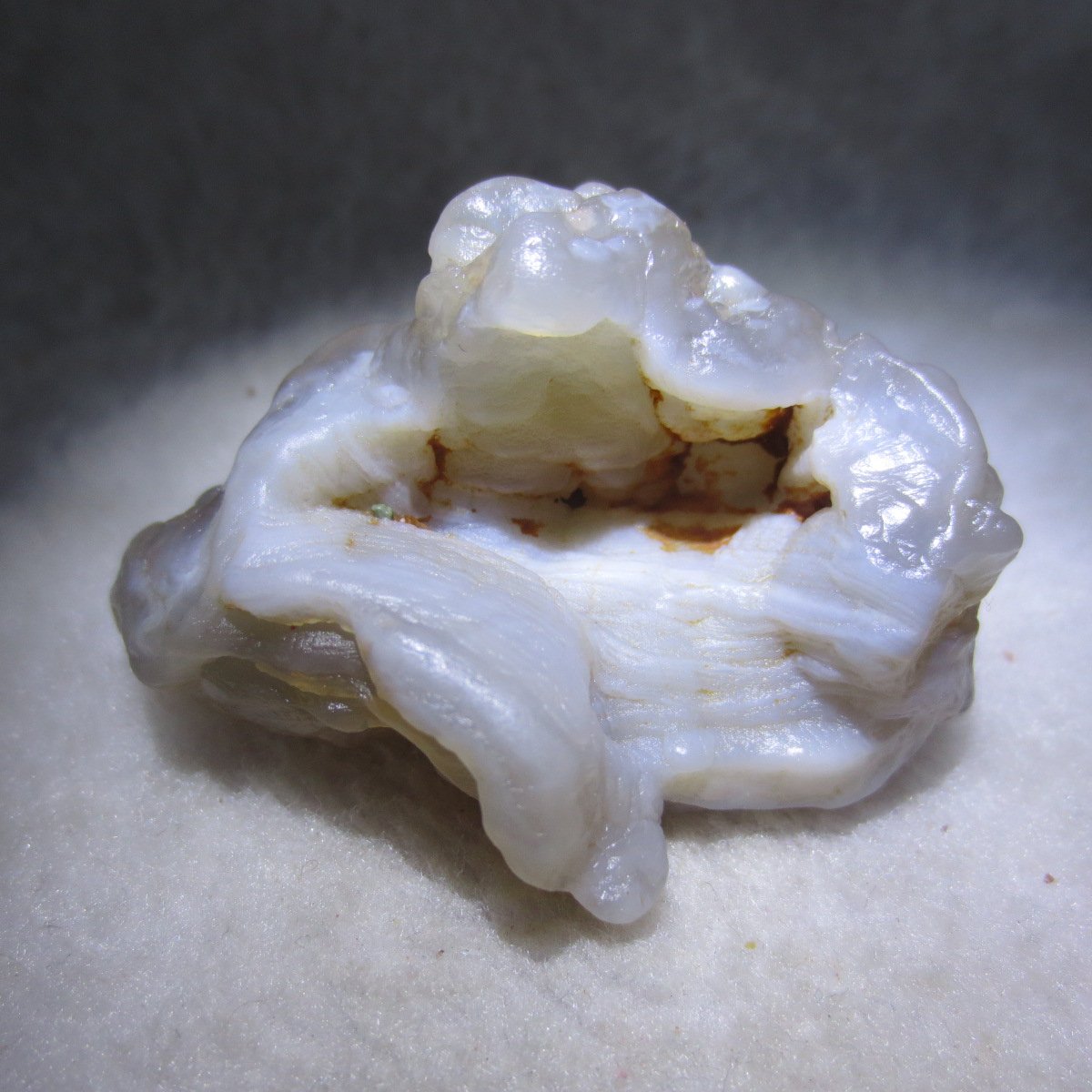 natural flower gobi agate raw desert rock mineral specimen (h46)