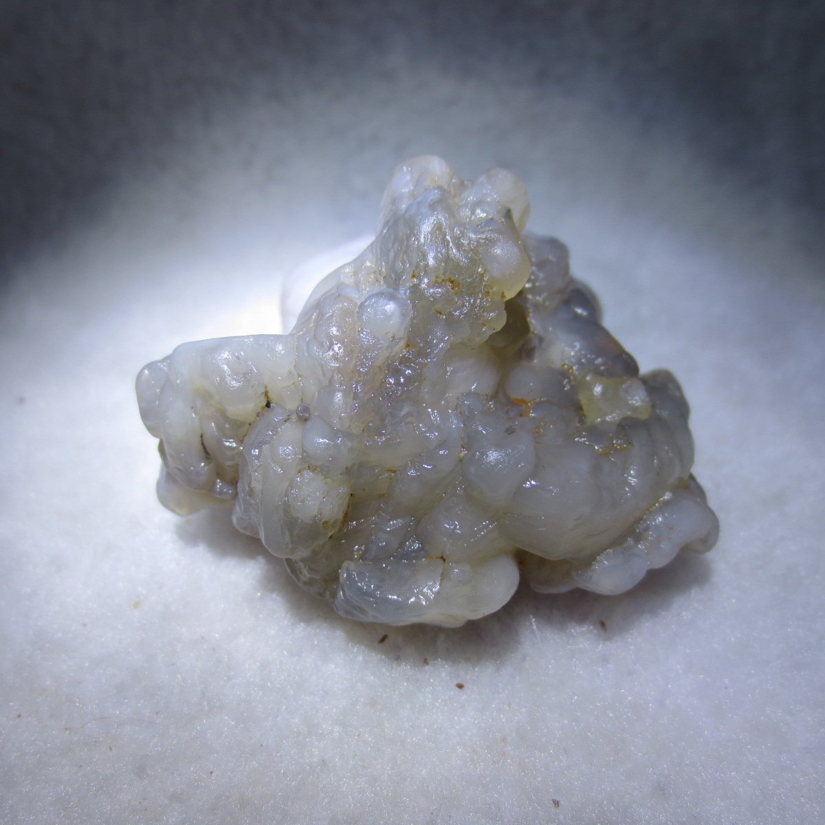 natural flower gobi agate raw desert rock mineral specimen (h46)