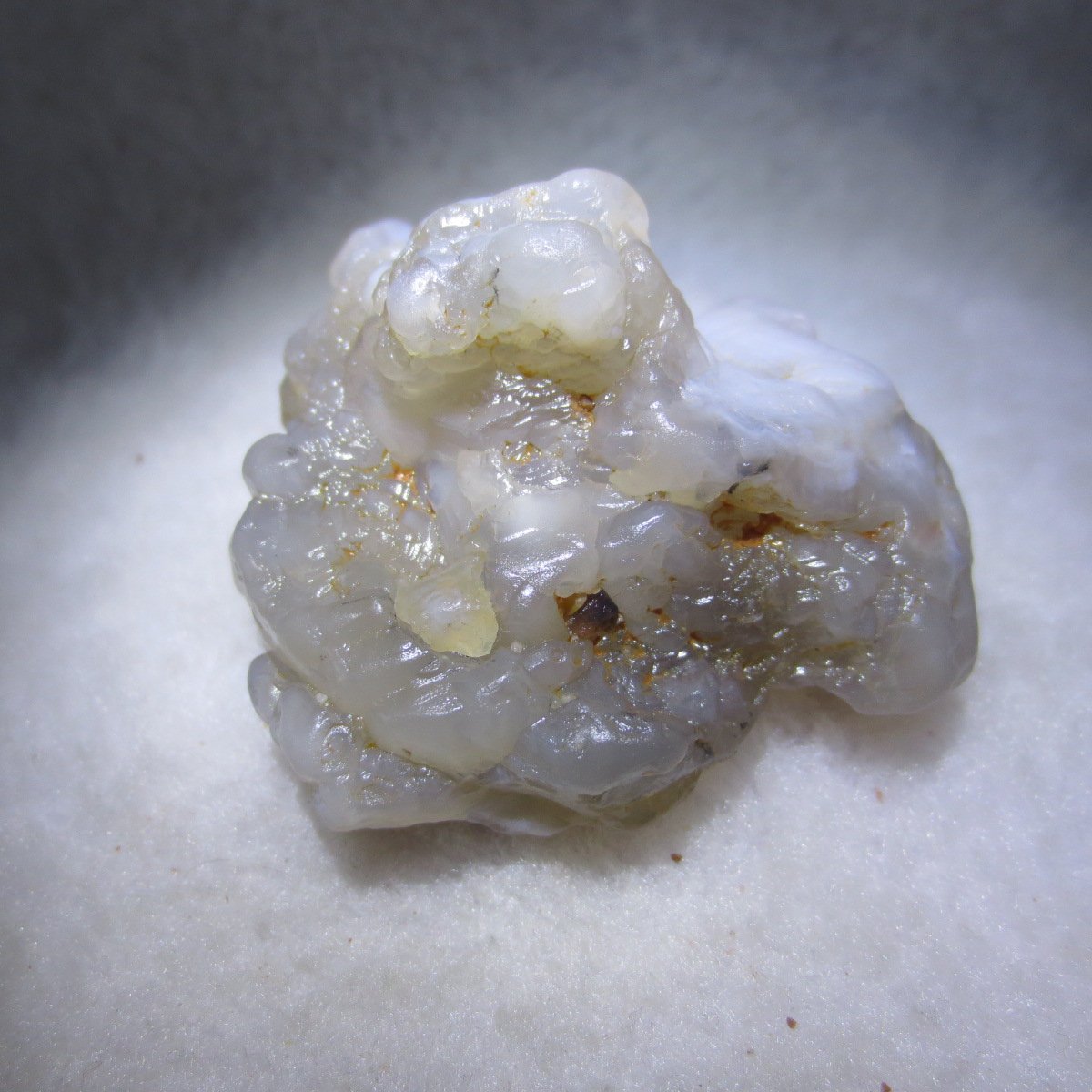 natural flower gobi agate raw desert rock mineral specimen (h46)