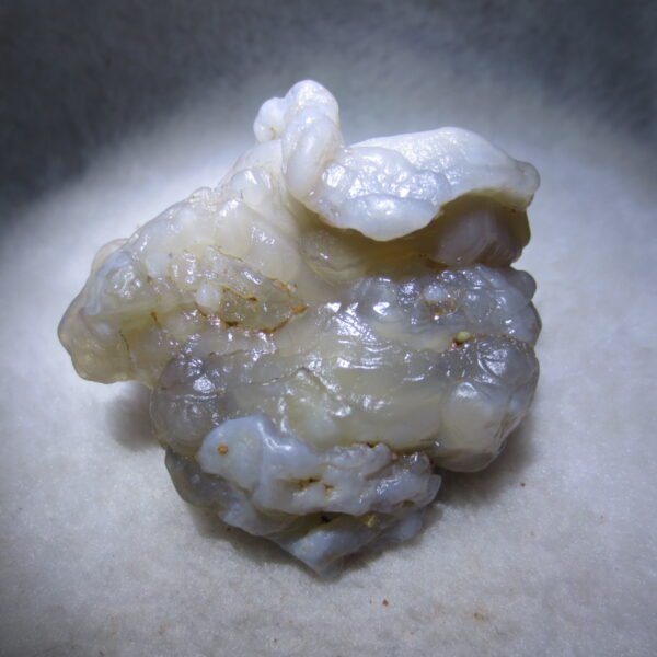 natural flower gobi agate raw desert rock mineral specimen (h46)