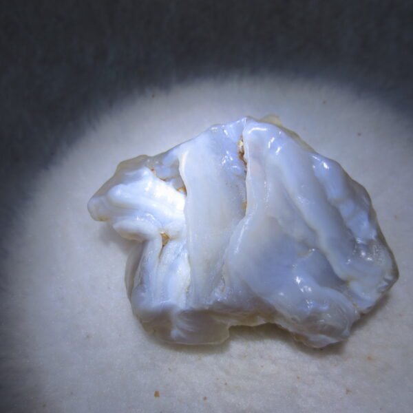 natural flower gobi agate raw desert rock mineral specimen (h47)
