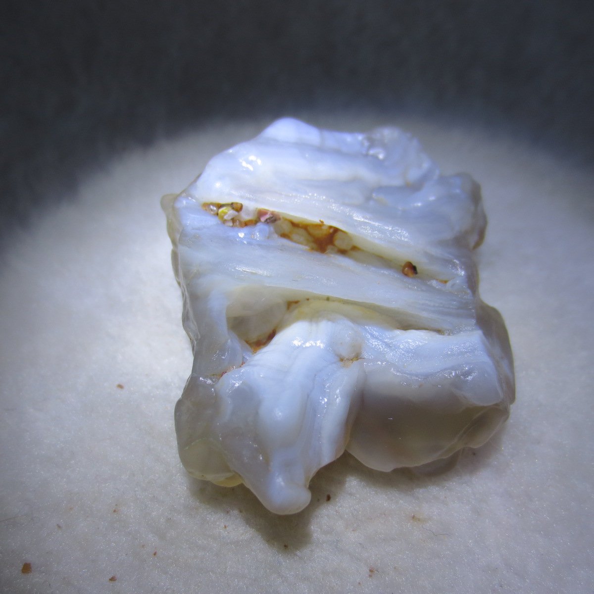 natural flower gobi agate raw desert rock mineral specimen (h47)
