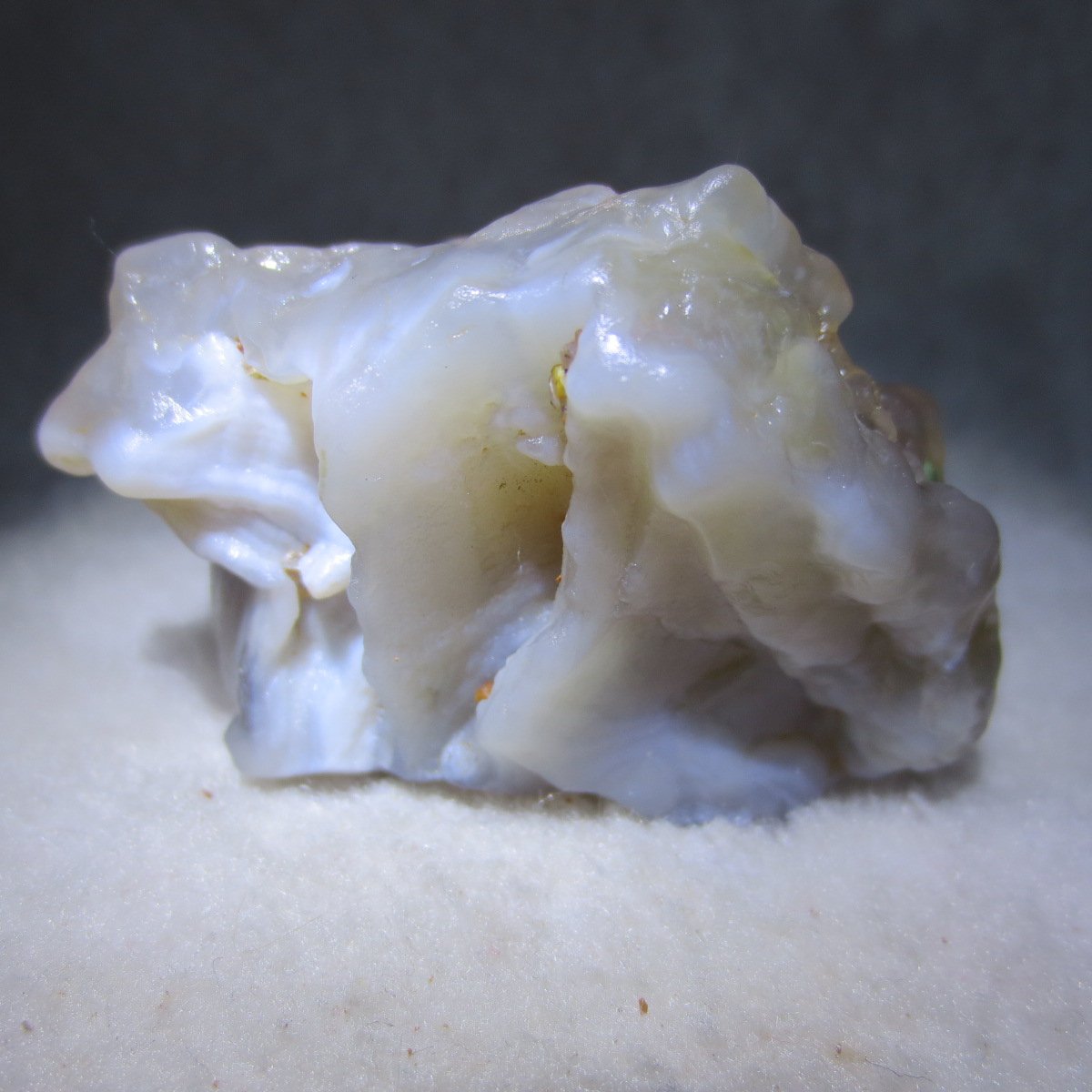 natural flower gobi agate raw desert rock mineral specimen (h47)