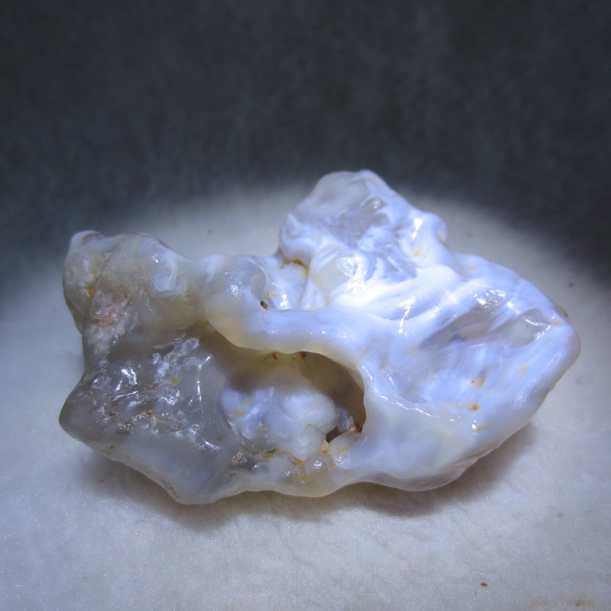 natural flower gobi agate raw desert rock mineral specimen (h49)