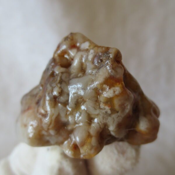 multi color gobi flower agate raw stone natural botryoidal desert agate specimen (k103)