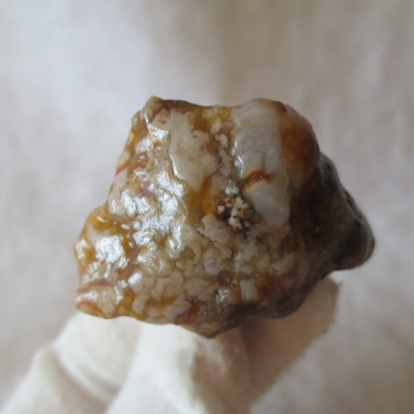 multi color gobi flower agate raw stone natural botryoidal desert agate specimen (k103)