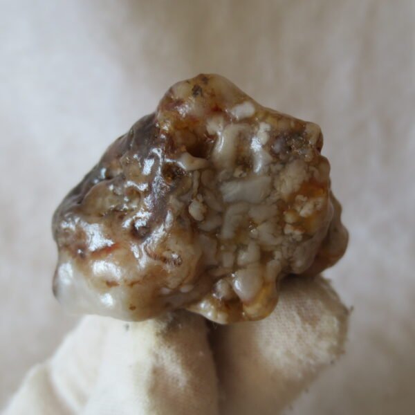 multi color gobi flower agate raw stone natural botryoidal desert agate specimen (k103)