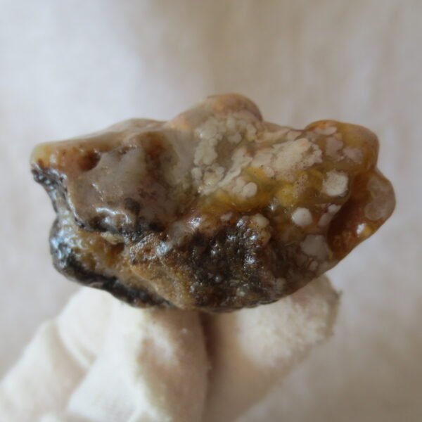 multi color gobi flower agate raw stone natural botryoidal desert agate specimen (k103)