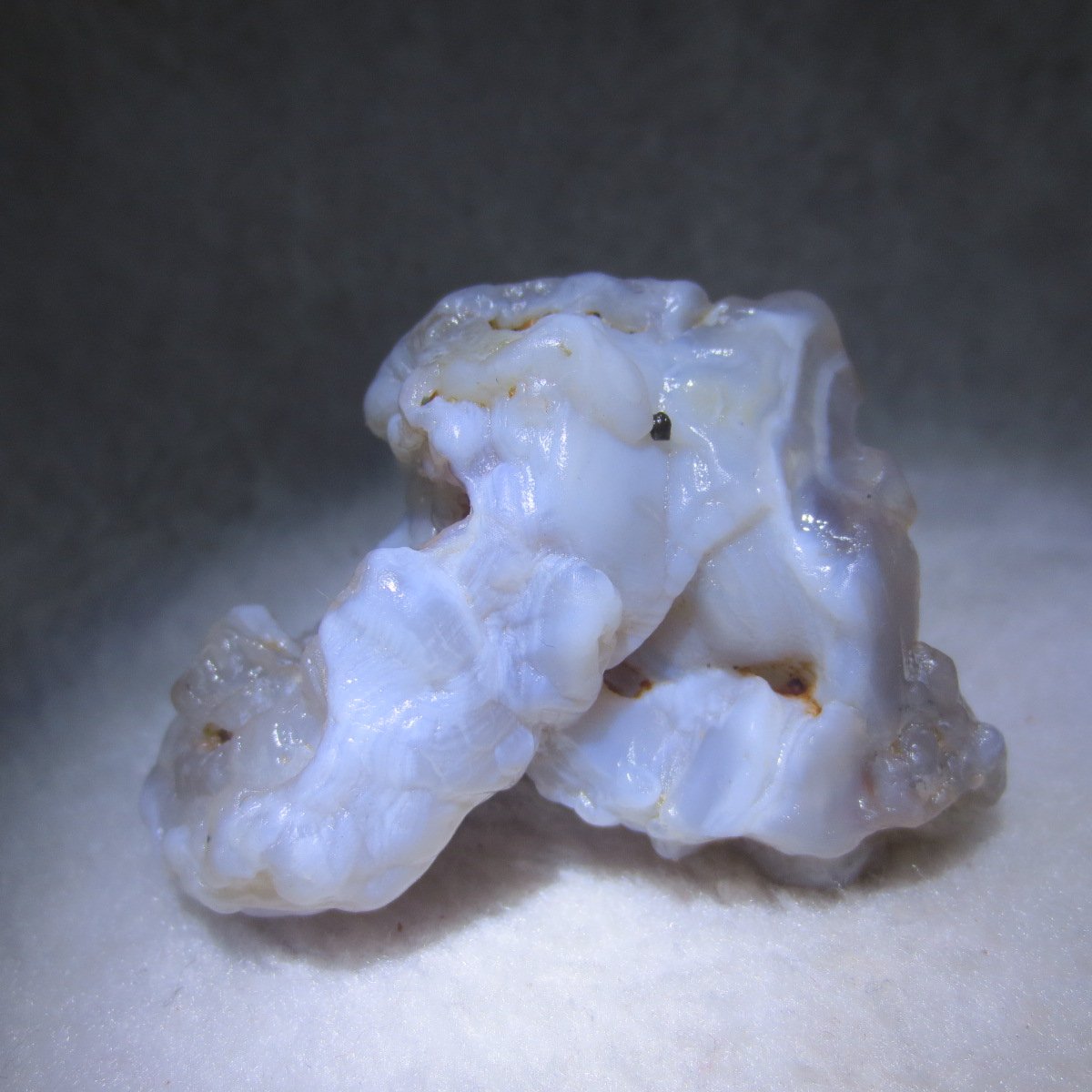 natural flower gobi agate raw desert rock mineral specimen (h55)