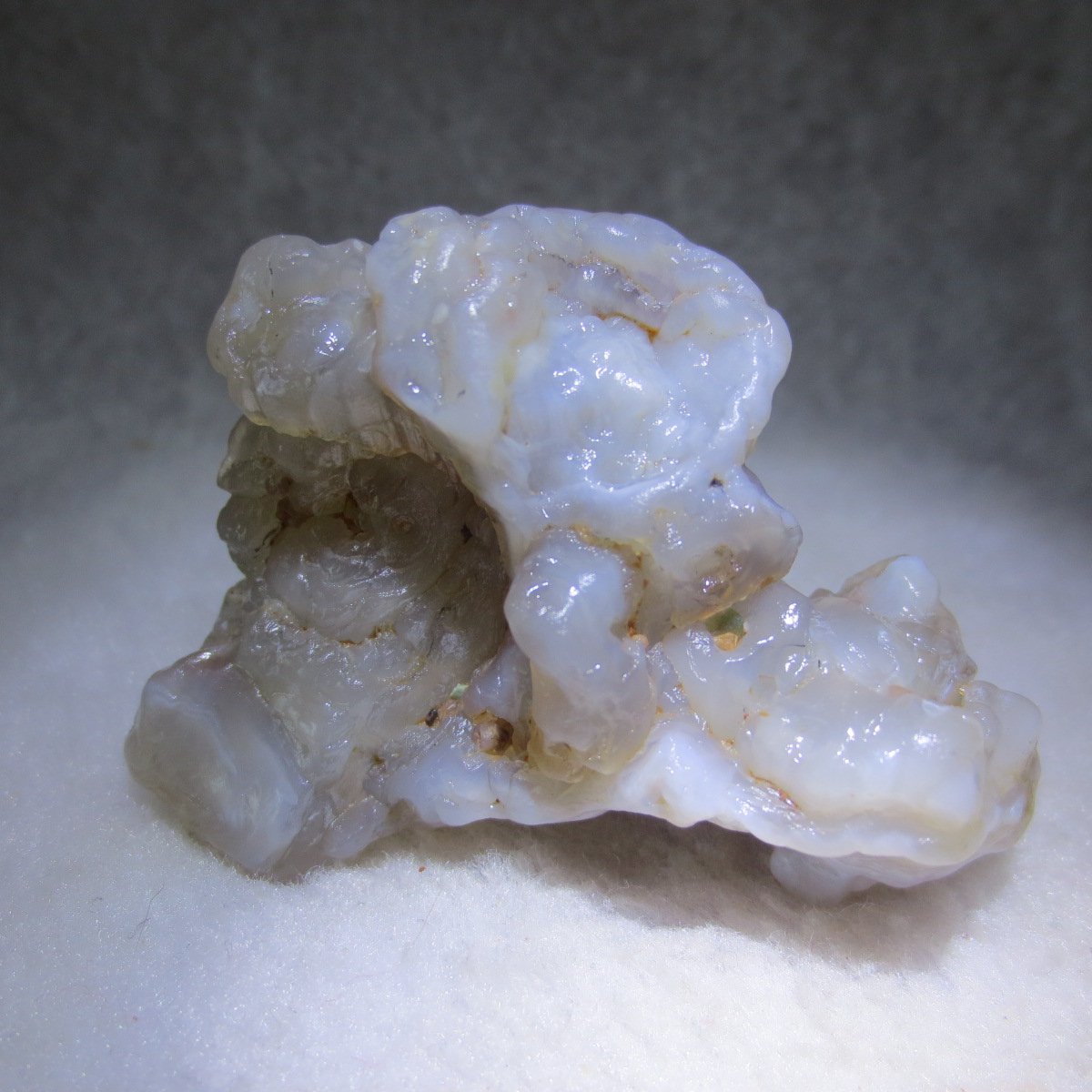 natural flower gobi agate raw desert rock mineral specimen (h55)
