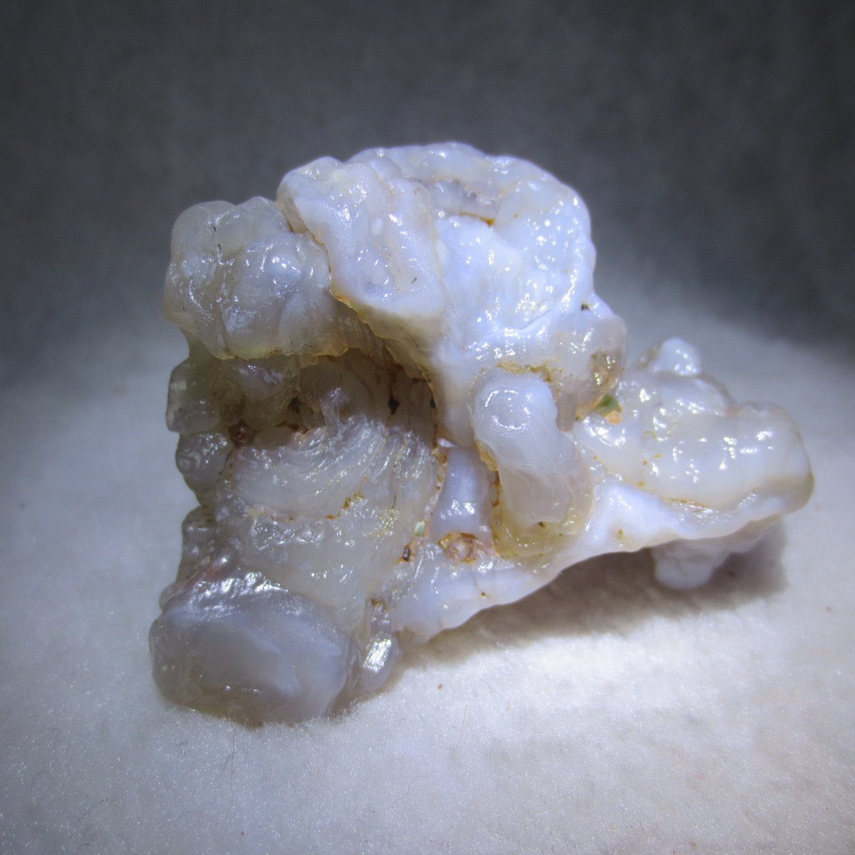 natural flower gobi agate raw desert rock mineral specimen (h55)