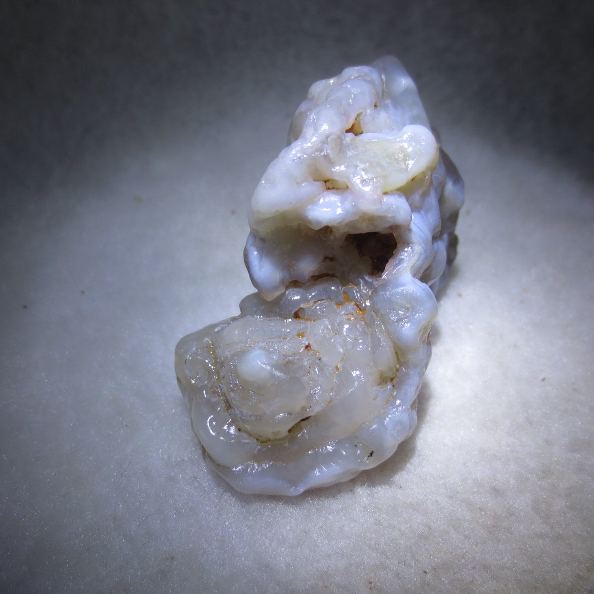 natural flower gobi agate raw desert rock mineral specimen (h55)