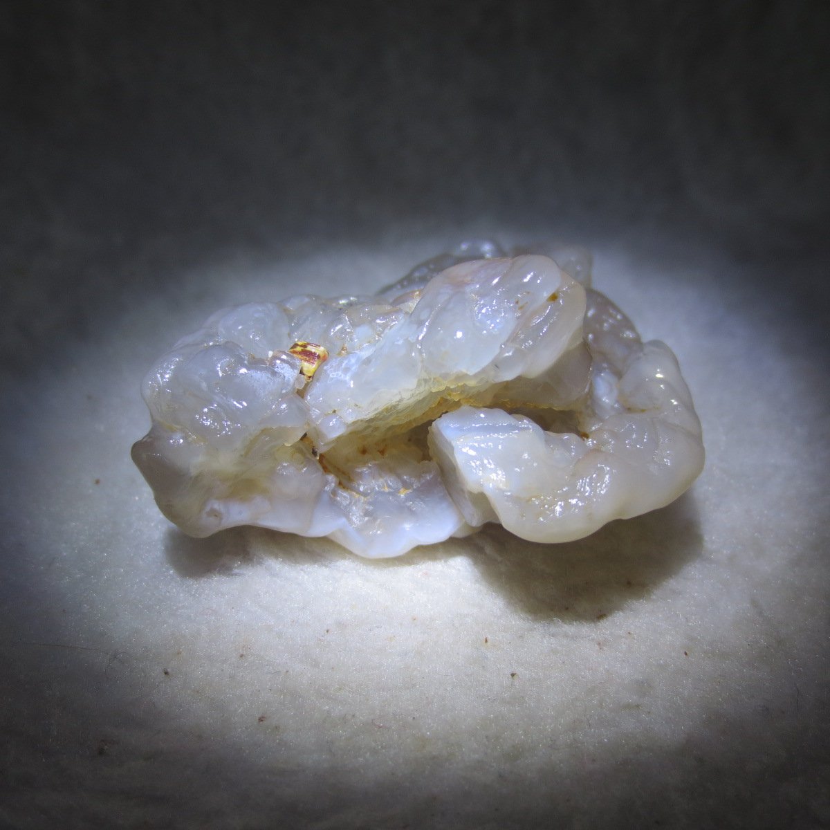 natural flower gobi agate raw desert rock mineral specimen (h57)