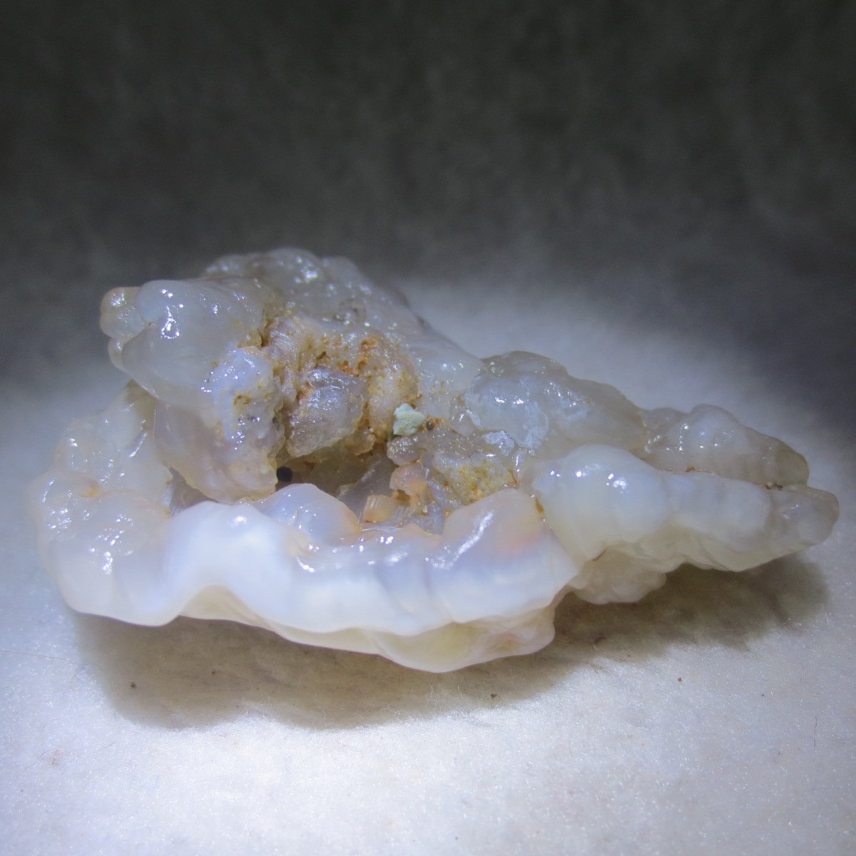 natural flower gobi agate raw desert rock mineral specimen (h57)