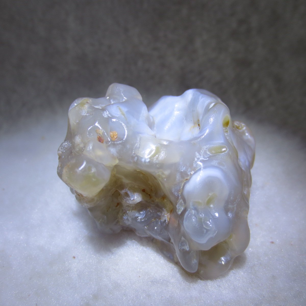 natural flower gobi agate raw desert rock mineral specimen (h59)