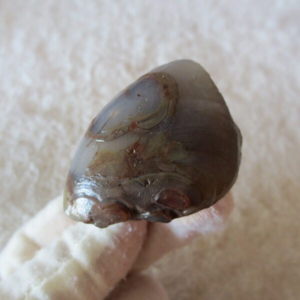 natural thumb eye gobi agate desert raw stone mineral (m118) (copy)