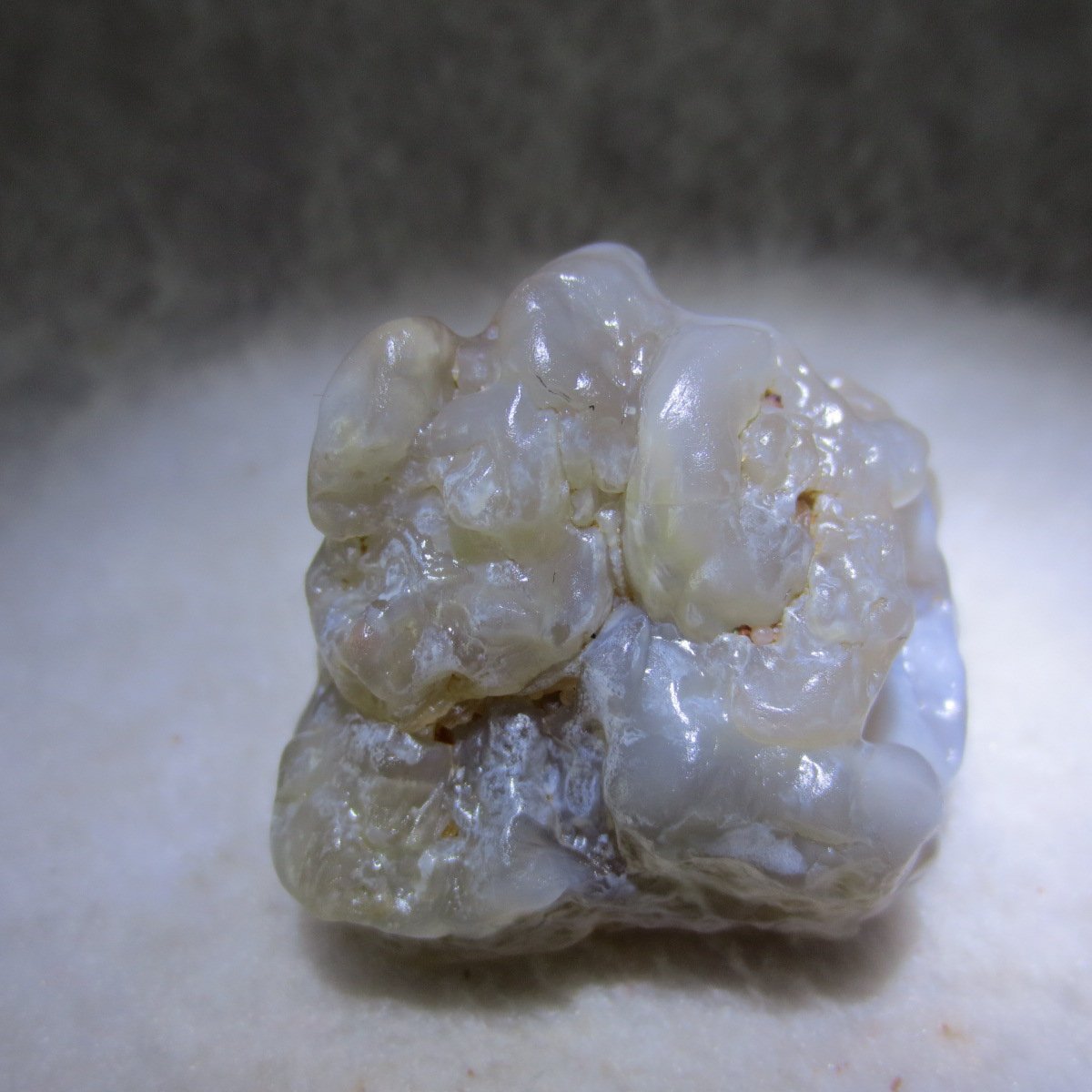 natural flower gobi agate raw desert rock mineral specimen (h59)