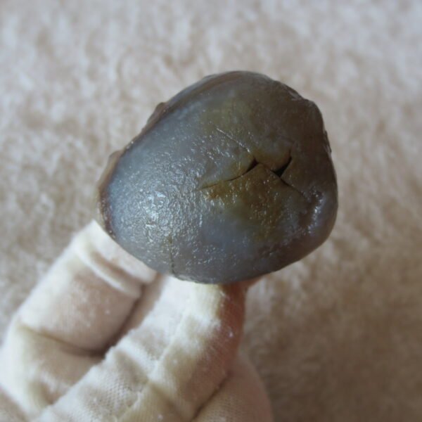 natural thumb eye gobi agate desert raw stone mineral (m118) (copy)