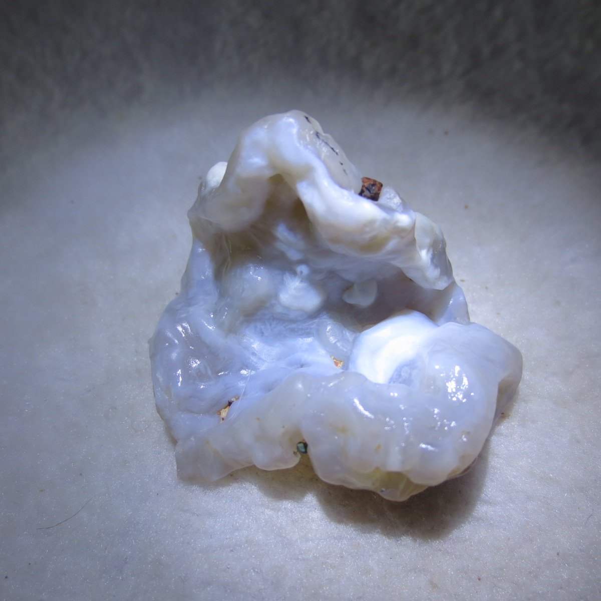 natural flower gobi agate raw desert rock mineral specimen (h60)