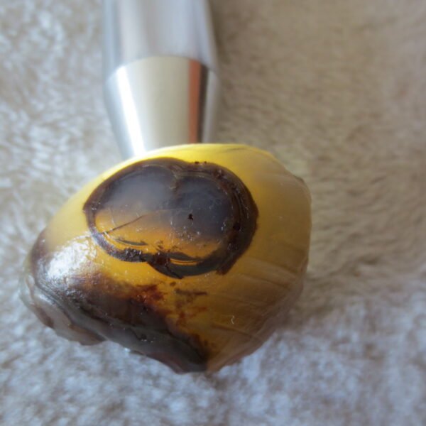 natural thumb eye gobi agate desert raw stone mineral (m118) (copy)