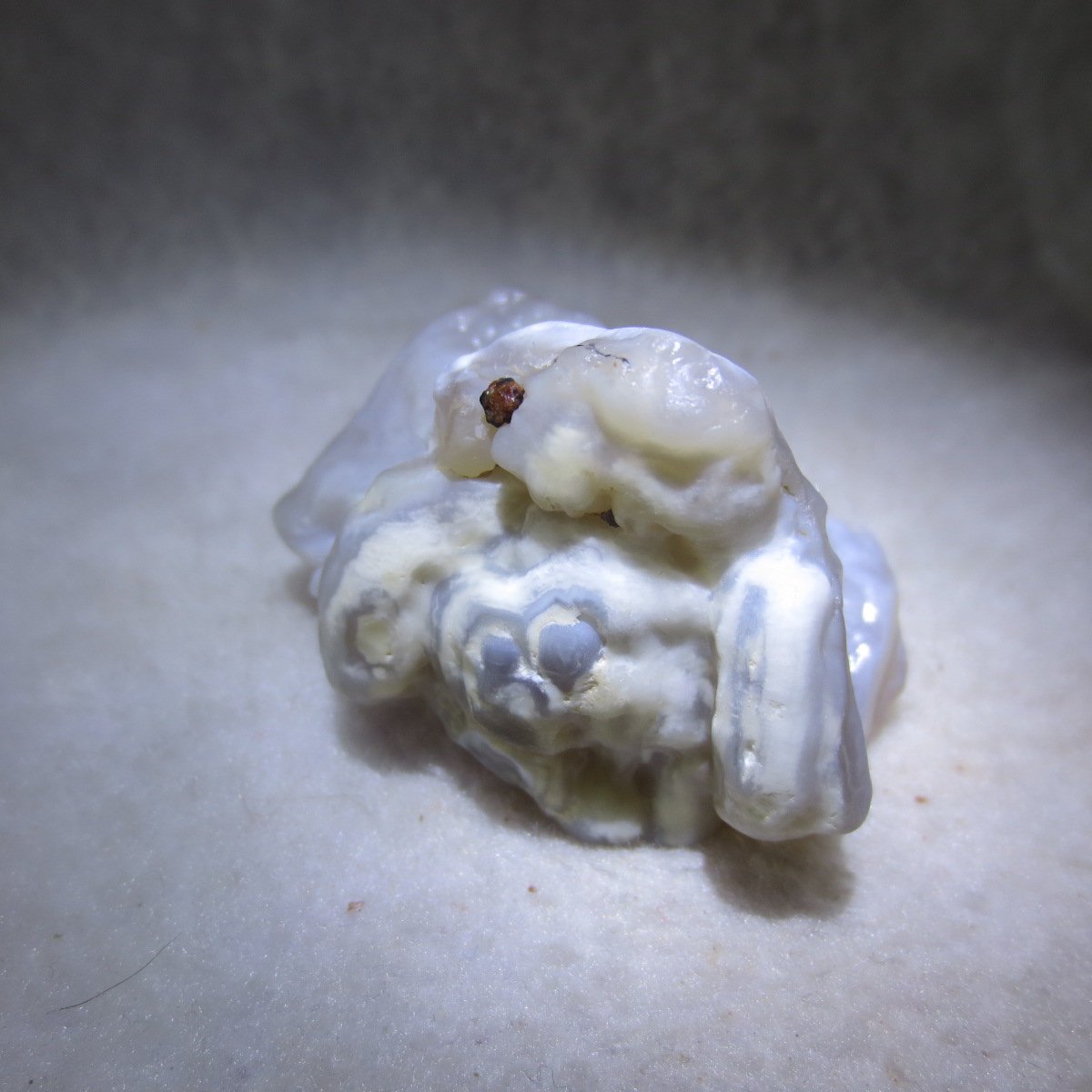 natural flower gobi agate raw desert rock mineral specimen (h60)