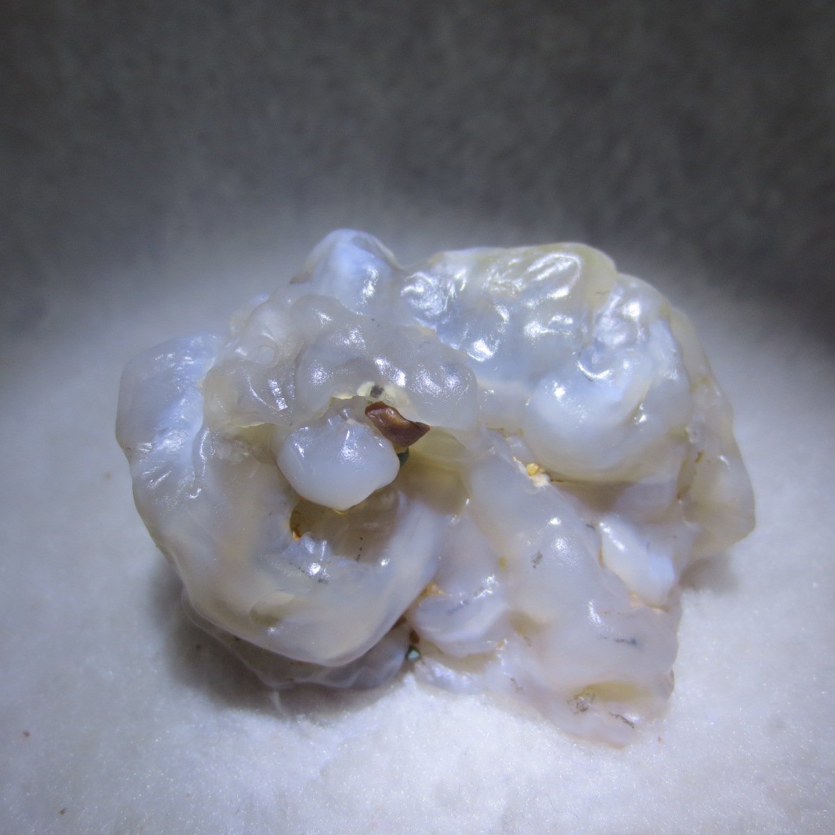 natural flower gobi agate raw desert rock mineral specimen (h60)