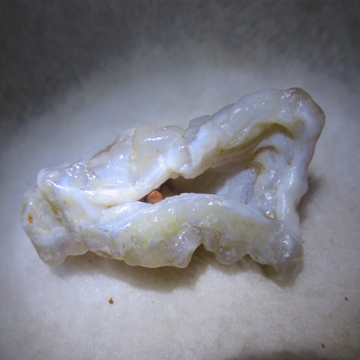 natural flower gobi agate raw desert rock mineral specimen (h61)